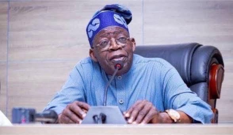 Tinubu's reforms driving record corporate profits, says Presidency