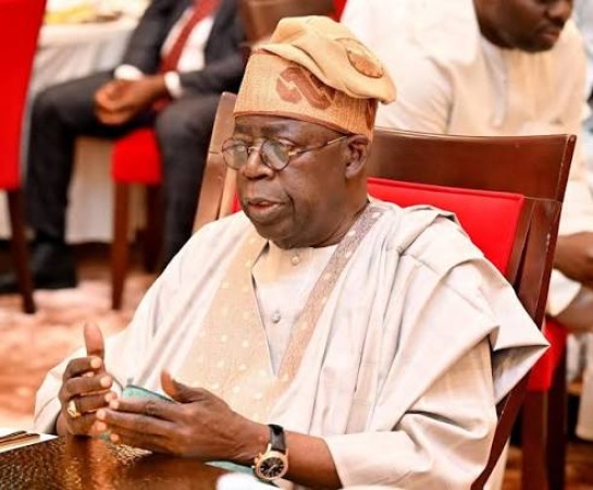 Tinubu listed as fake Presidential Council Board Chairman in official records
