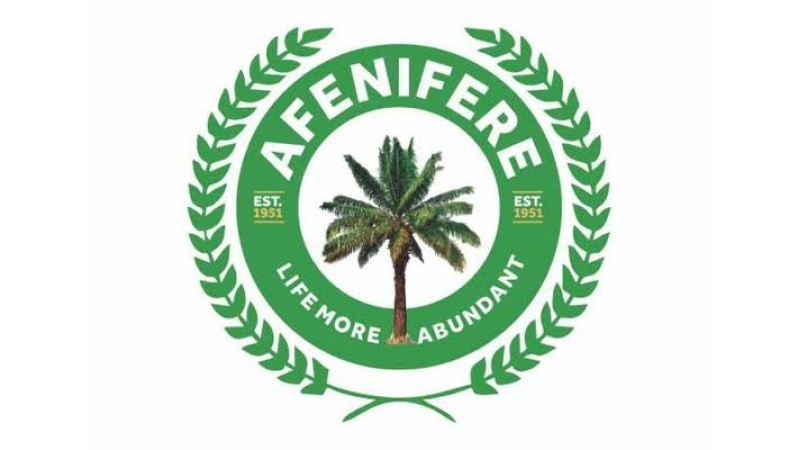 Lagos 2027: Afenifere seeks stronger Yoruba-Igbo ties, warns against opposition