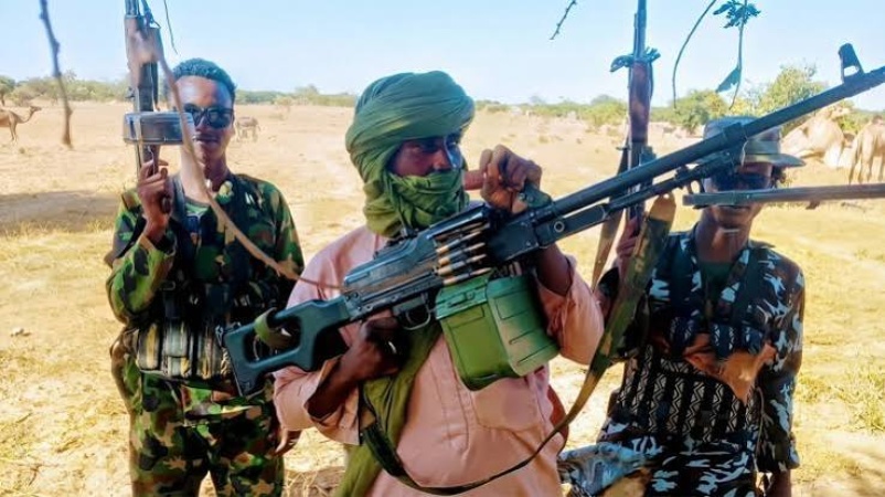 Benue farmer abandons crops as bandits demand N500,000 to permit harvest