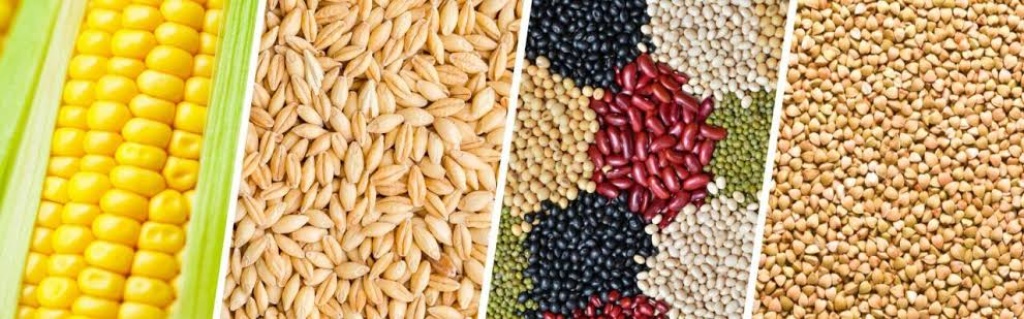 Apprehension over looming food crisis