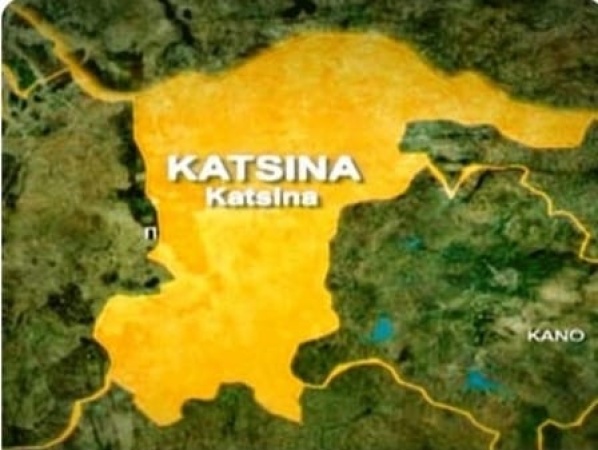 Health workers issue Katsina 21-day ultimatum to meet demands