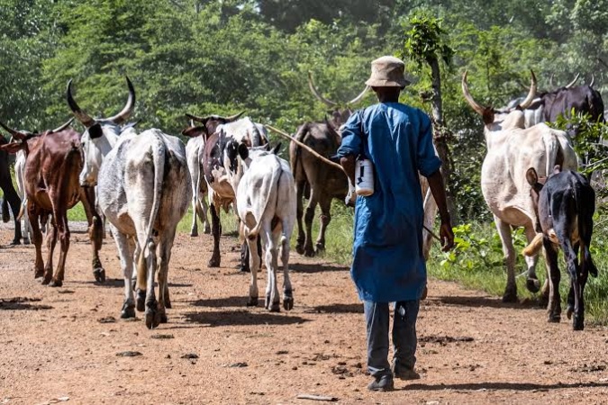 Two herders shot dead in Plateau