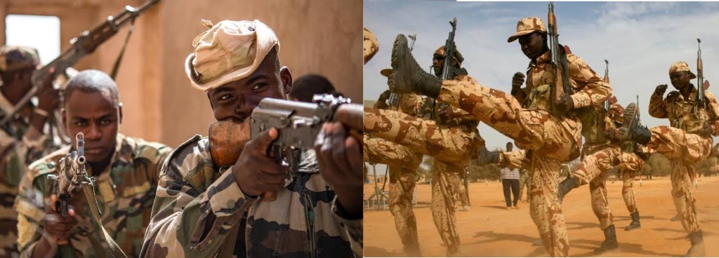 Tensions rise as Nigerien, Chadian forces clash near Diffa border