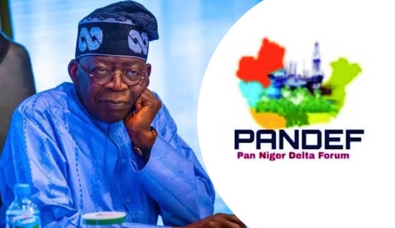 PANDEF, citizens’ group propose 15 regions, demand restructuring of Nigeria