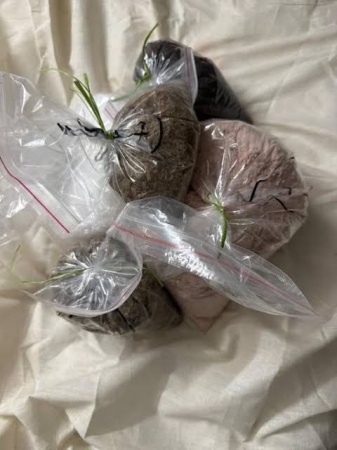 Four Nigerians arrested in India over drug trafficking