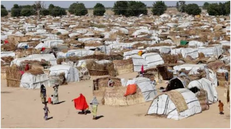 Return our IDPs to their homes before ranching, Benue leaders tell FG