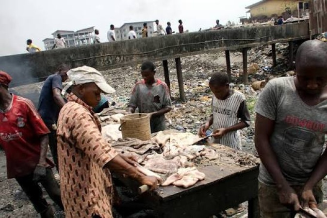 The meat we eat and the years we lose: How Nigeria's abattoirs quietly erode our life expectancy