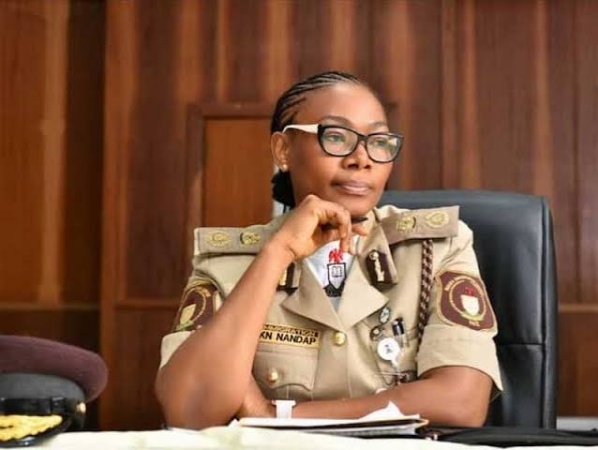 Nigeria upgrading its digital, intelligence-led border management system — NIS