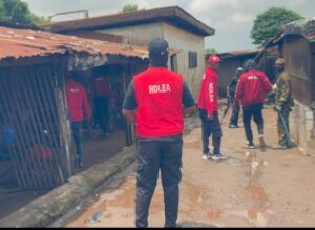NDLEA dismantles drug black spots in Ogun