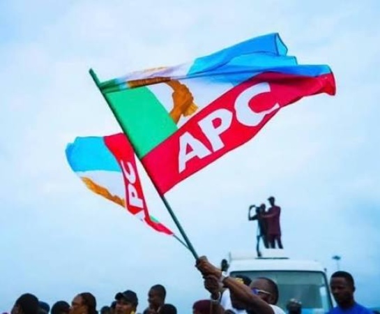 House members fault APC Campaign Council composition