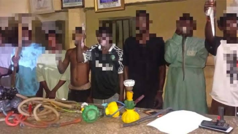 Police arrest 8 suspects, recover dangerous weapons, cannabis in Niger