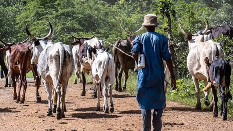 Southern, middle belt leaders vow to resist land grabbing by Fulani pastoralists