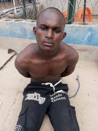 Troops arrest suspected ISWAP member, recover image of armed men in Borno