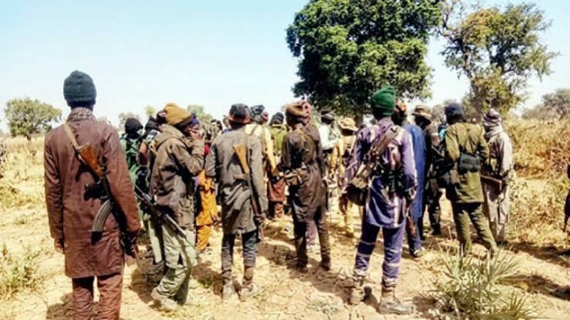 Hope Or Hot Air? Confusion, uncertainty over deployment of forest guards 
