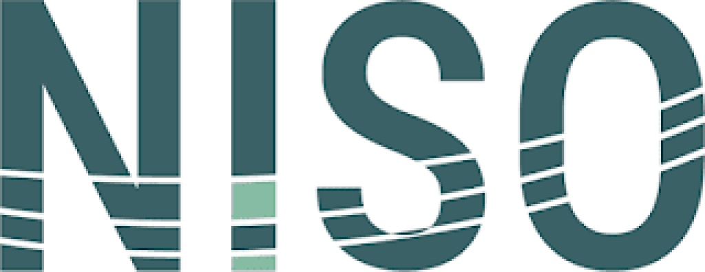 NISO explains changes in power allocation to Lagos, Abuja, Northern corridors