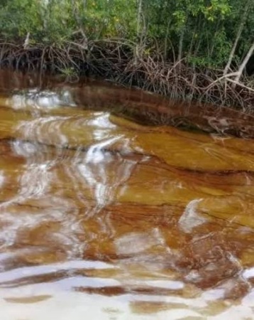 Delta community protests six-months oil spill, demands urgent action
