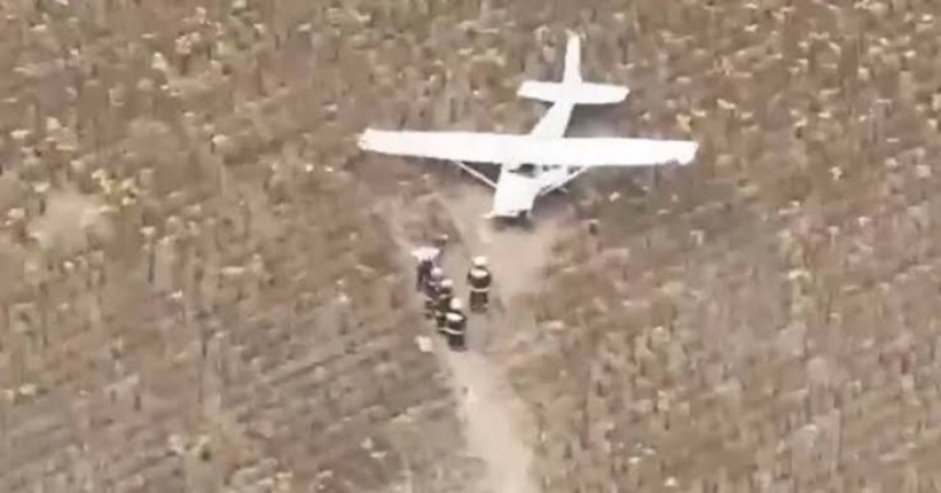 ‘Drunk’ pilot crashes ‘stolen aircraft’