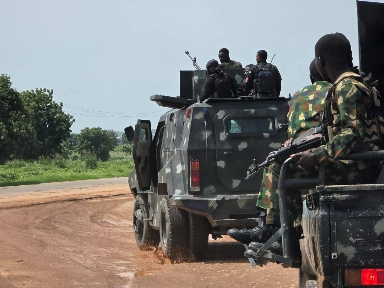 Troops Intercepted  Nine Cattle After Farm Destruction by Fulani Herder 