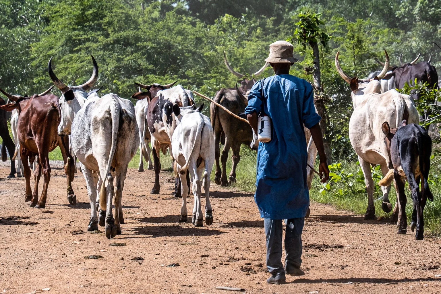 27 farmer-herder conflict alerts recorded in Katsina, Zamfara – Report