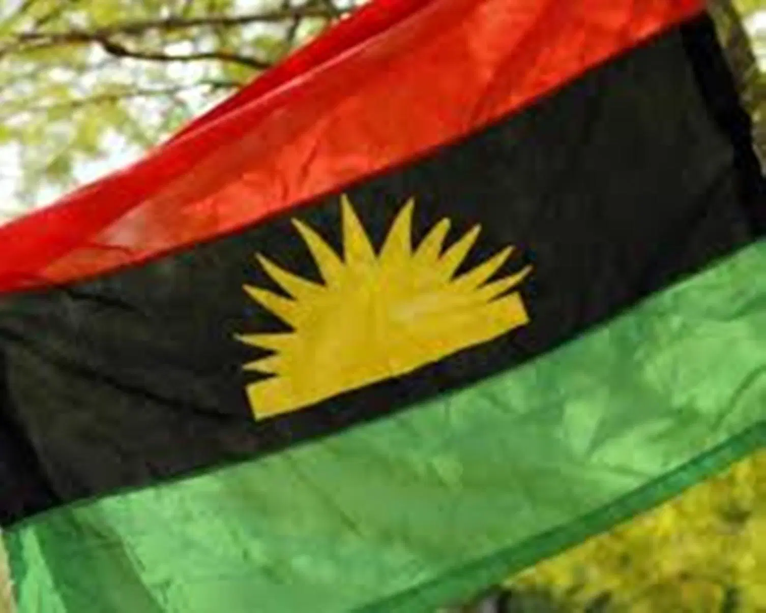 Nigeria’s amalgamation failed, split country into six republics — BIM-MASSOB