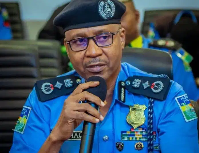 Osun election: IGP Disu deploys DIG Mohammed to supervise security operations