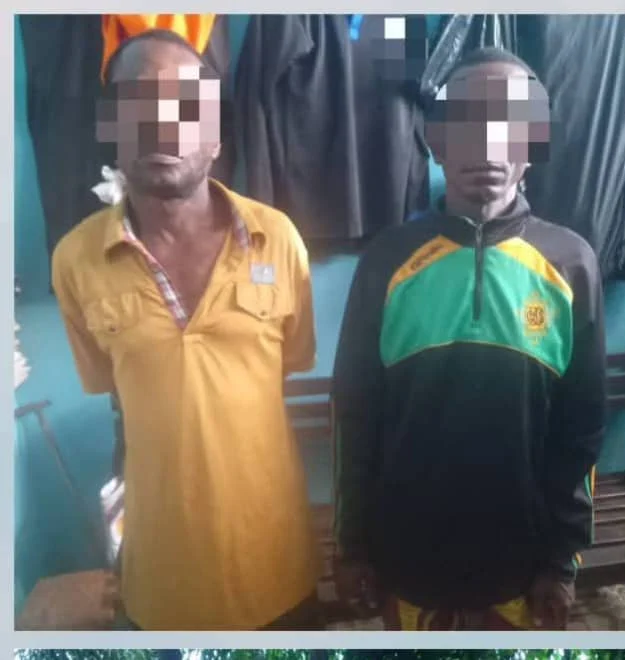 Firm confirms arrest of two suspected transformer vandals in Anambra