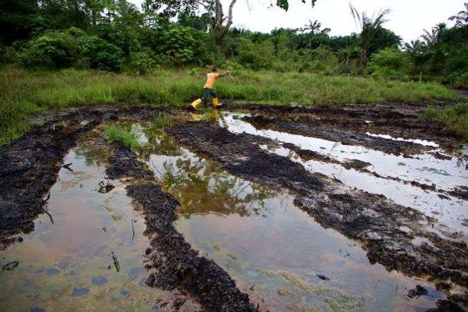 Nembe creek oil spill: Fishermen count losses, communities demand action