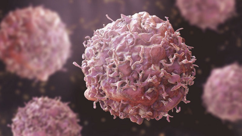 Cancer-fighting chewing gum cuts HPV levels by up to 93% — Researchers