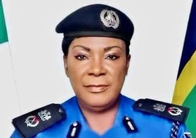 Police nab 699 suspects over alleged self-kidnapping, firearms, others in Ebonyi