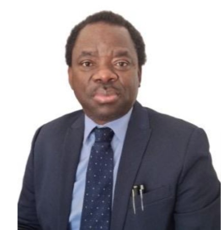 Xenophobia: 1,695 Nigerians repatriated from South Africa, says envoy