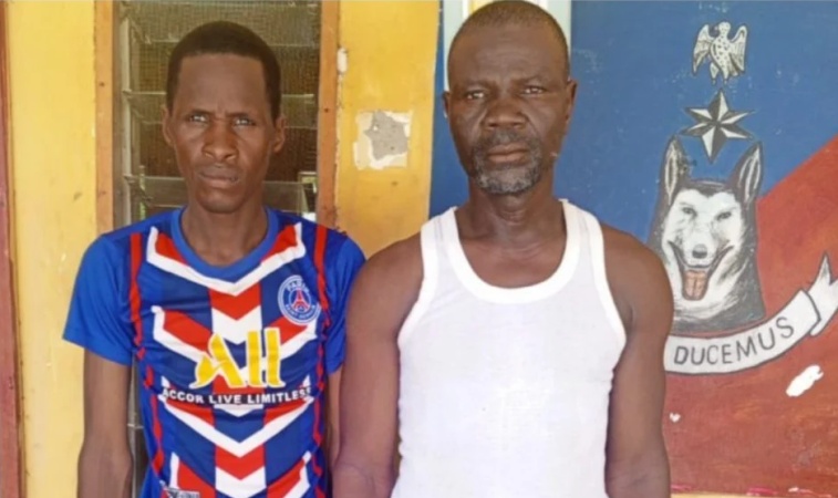 Terrorism: Two brothers surrender to troops in Damboa, Borno