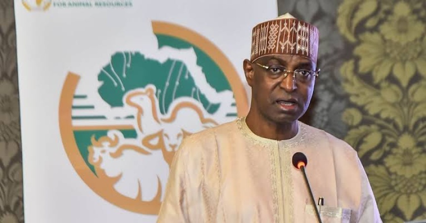 FG rebranding livestock sector to attract youths — Minister