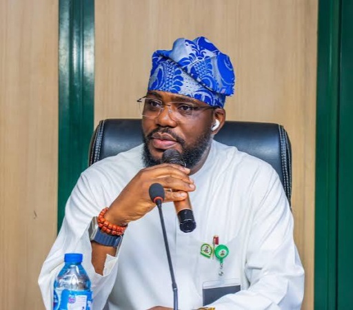 NIHOTOUR DG: Tourism can drive Nigeria’s economic diversification, create jobs