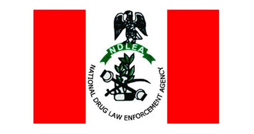 NDLEA arrests 68, seizes 7,531kg of drugs in Edo