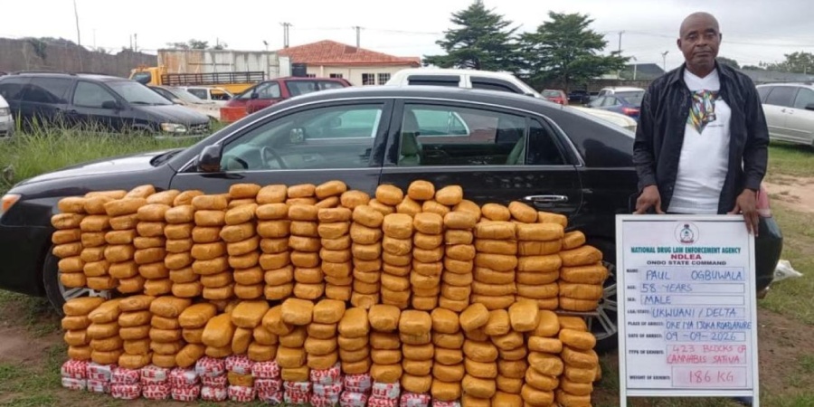 NDLEA recovers over 2.3tons of assorted illicit drugs in raids across 7 states