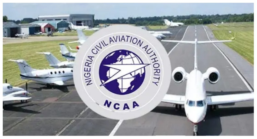 Domestic airlines delayed over 4,000 flights, cancel 36 others in August