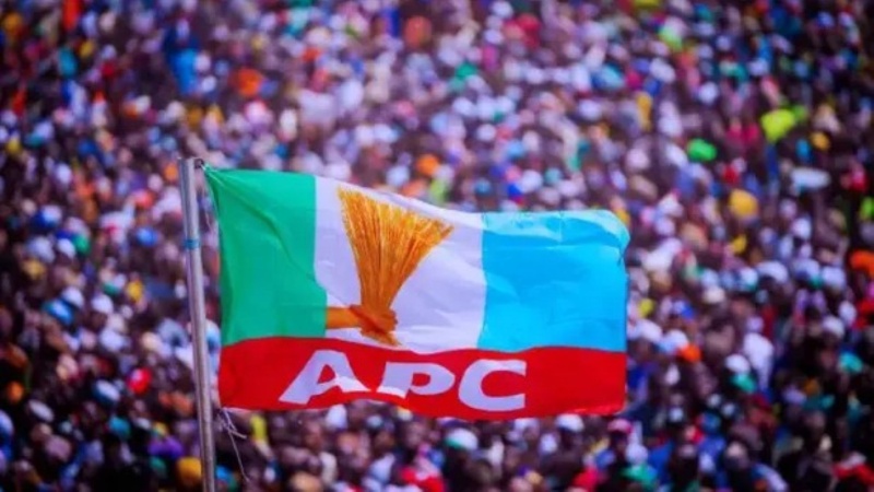 Aggrieved APC governors 'plotting to frustrate NASS candidates ahead of 2027'