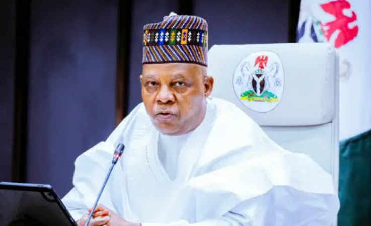 Nutrition: Shettima raises alarm as 41 per cent of Nigerian children stunted