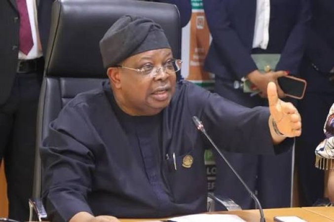 ‘Nigerians tell me to slow down, freezers are freezing’ — Power Minister