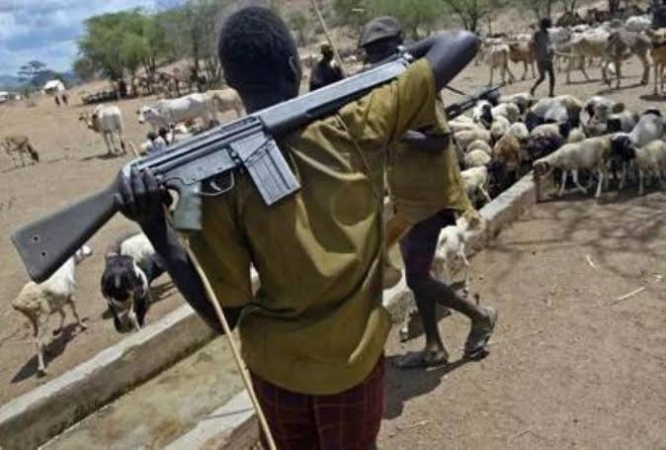 Suspected herdsmen attack Delta farmer, son, torch motorcycle