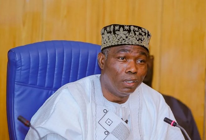Adebayo unveils plan to decentralise electricity, expand national grid