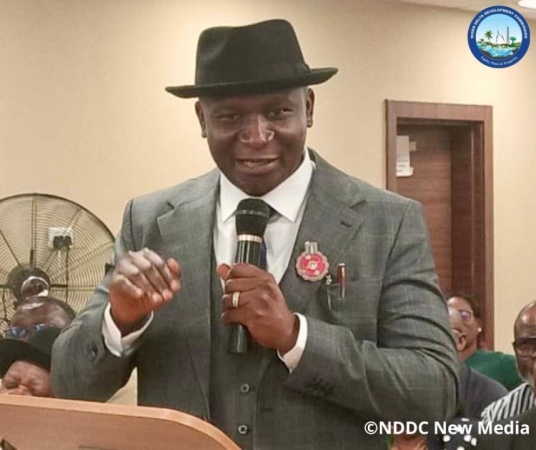 NDDC advocates more awareness, participation in democratic process