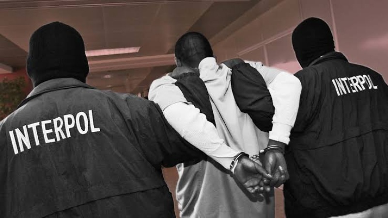 INTERPOL uncovers 126 suspected foreign terrorists