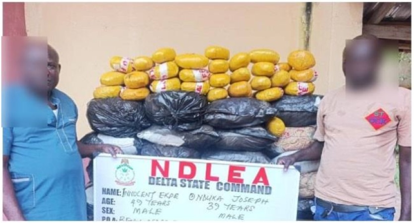 NDLEA ​‌‌‍‍‌‍⁠⁠‌⁠‌​​​⁠⁠​‌​intercepts N3.4bn Loud, opioids, arrests fake police officer, mechanic-drug dealer