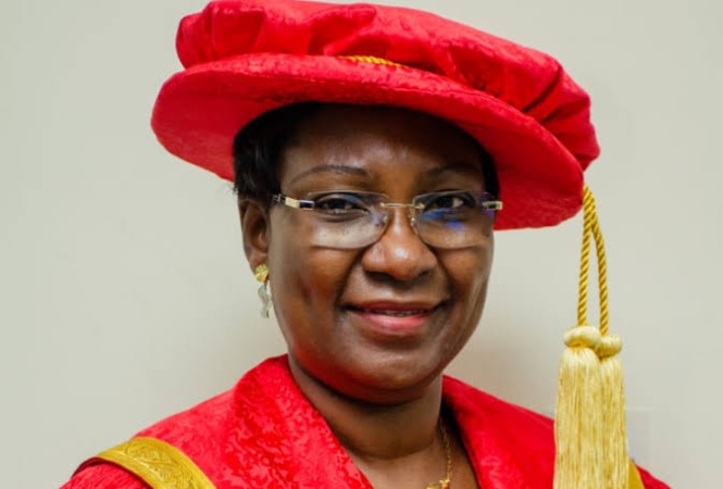 Public varsities need N1m school fees for financial independence — Ex-LASU VC