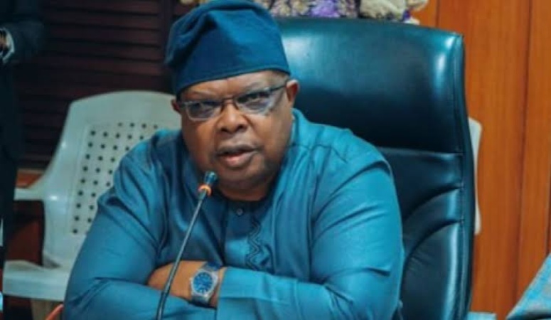 Many Nigerians still lack reliable electricity supply — Power minister