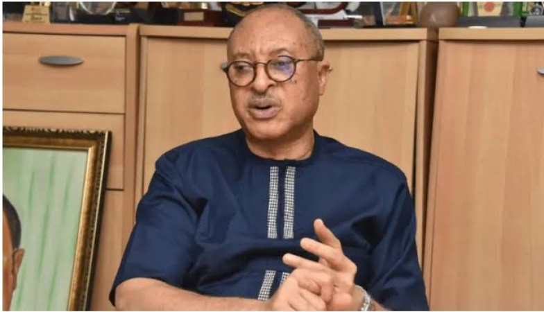 Why opposition parties struggle to protect votes — Pat Utomi