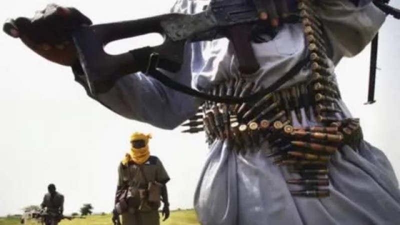 Boko Haram kills vigilante commander, 4 others in Borno