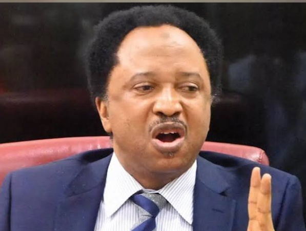 Shehu Sani demands scrutiny of Nigeria-US mineral deal